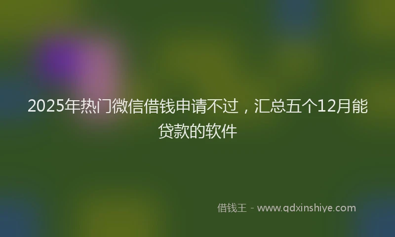 2025年热门微信借钱申请不过，汇总五个12月能贷款的软件