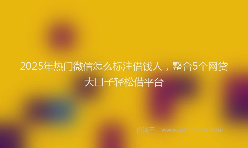 2025年热门微信怎么标注借钱人，整合5个网贷大口子轻松借平台