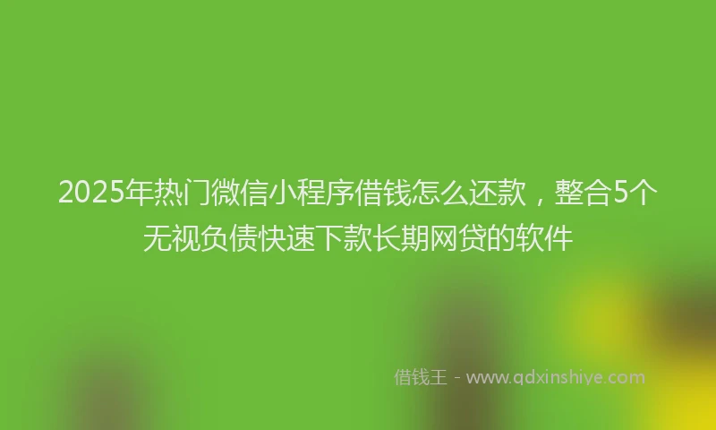 2025年热门微信小程序借钱怎么还款，整合5个无视负债快速下款长期网贷的软件