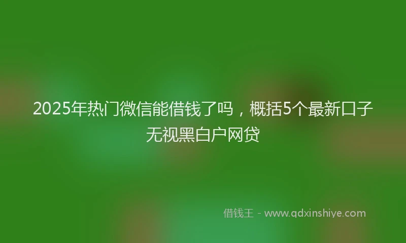 2025年热门微信能借钱了吗，概括5个最新口子无视黑白户网贷
