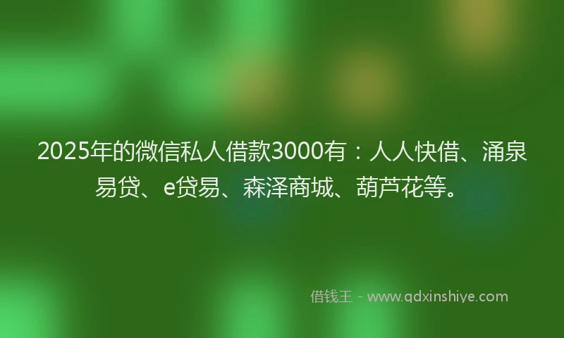 2025年的微信私人借款3000有：人人快借、涌泉易贷、e贷易、森泽商城、葫芦花等。