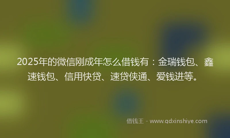 2025年的微信刚成年怎么借钱有：金瑞钱包、鑫速钱包、信用快贷、速贷侠通、爱钱进等。