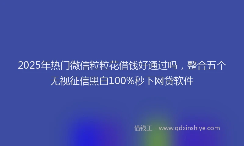 2025年热门微信粒粒花借钱好通过吗，整合五个无视征信黑白100%秒下网贷软件