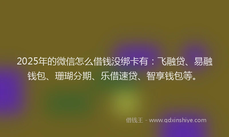 2025年的微信怎么借钱没绑卡有：飞融贷、易融钱包、珊瑚分期、乐借速贷、智享钱包等。