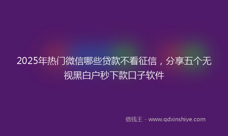 2025年热门微信哪些贷款不看征信，分享五个无视黑白户秒下款口子软件