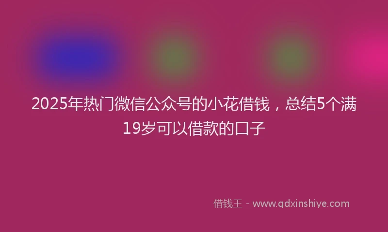 2025年热门微信公众号的小花借钱，总结5个满19岁可以借款的口子