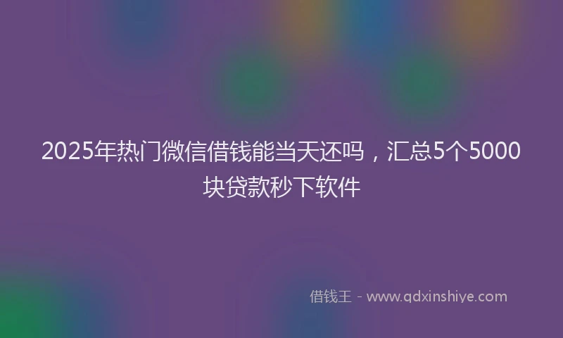 2025年热门微信借钱能当天还吗，汇总5个5000块贷款秒下软件