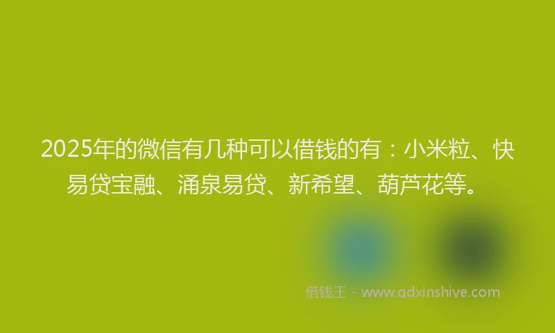 2025年的微信有几种可以借钱的有：小米粒、快易贷宝融、涌泉易贷、新希望、葫芦花等。