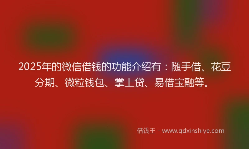 2025年的微信借钱的功能介绍有：随手借、花豆分期、微粒钱包、掌上贷、易借宝融等。