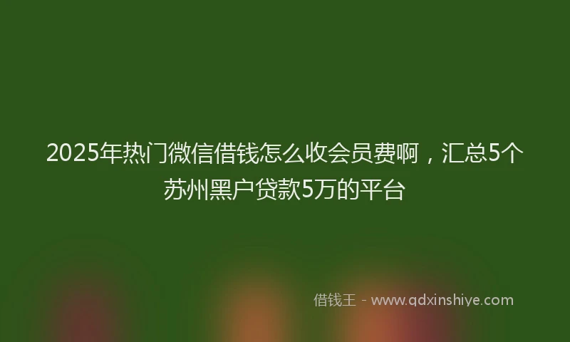 2025年热门微信借钱怎么收会员费啊，汇总5个苏州黑户贷款5万的平台