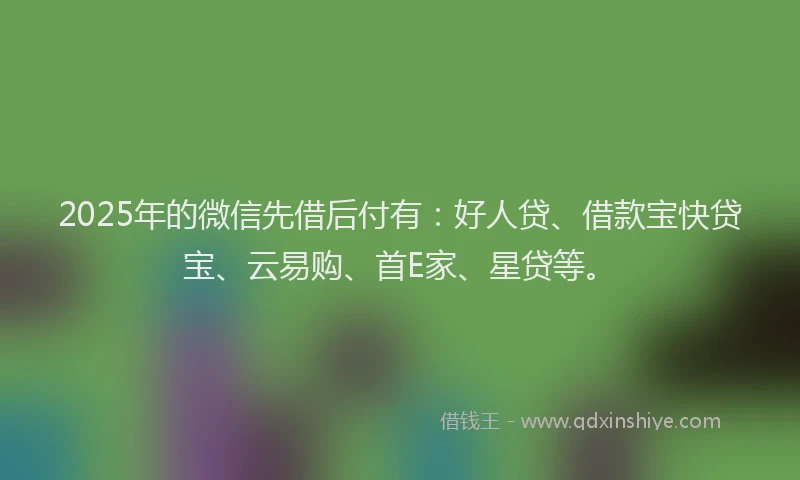 2025年的微信先借后付有：好人贷、借款宝快贷宝、云易购、首E家、星贷等。