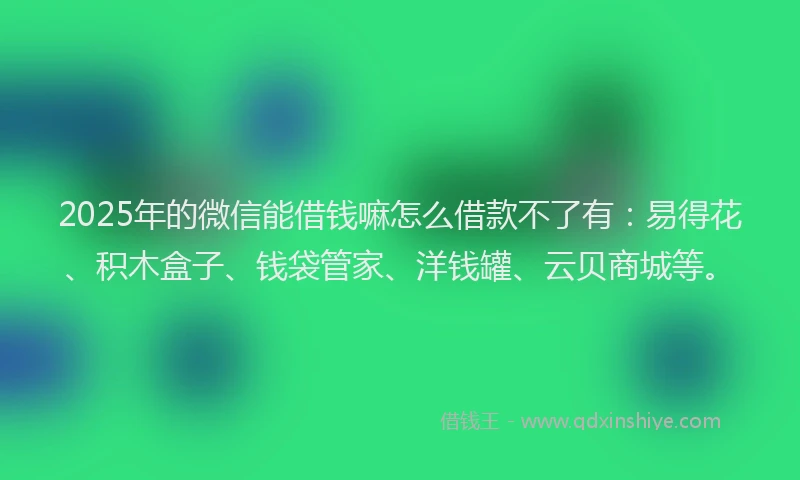 2025年的微信能借钱嘛怎么借款不了有：易得花、积木盒子、钱袋管家、洋钱罐、云贝商城等。