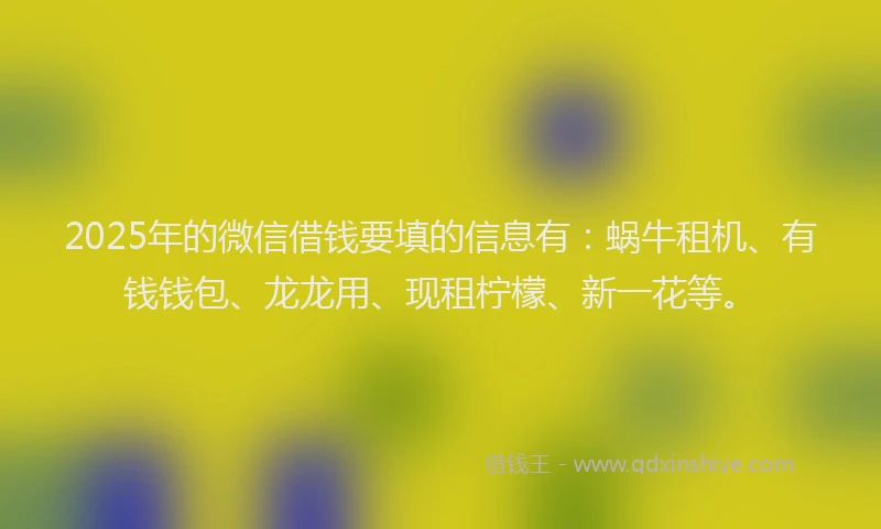 2025年的微信借钱要填的信息有：蜗牛租机、有钱钱包、龙龙用、现租柠檬、新一花等。