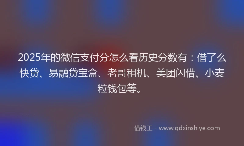 2025年的微信支付分怎么看历史分数有：借了么快贷、易融贷宝盒、老哥租机、美团闪借、小麦粒钱包等。