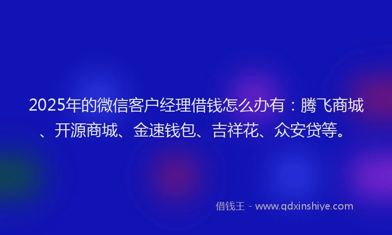 2025年的微信客户经理借钱怎么办有：腾飞商城、开源商城、金速钱包、吉祥花、众安贷等。