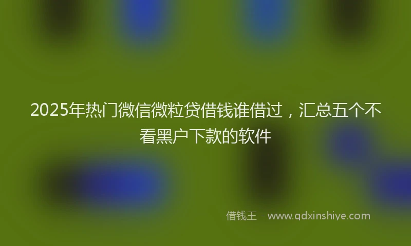 2025年热门微信微粒贷借钱谁借过，汇总五个不看黑户下款的软件