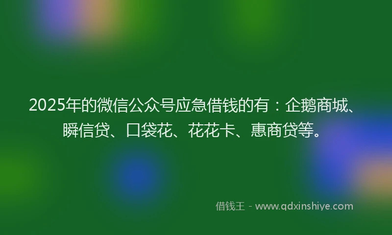 2025年的微信公众号应急借钱的有：企鹅商城、瞬信贷、口袋花、花花卡、惠商贷等。