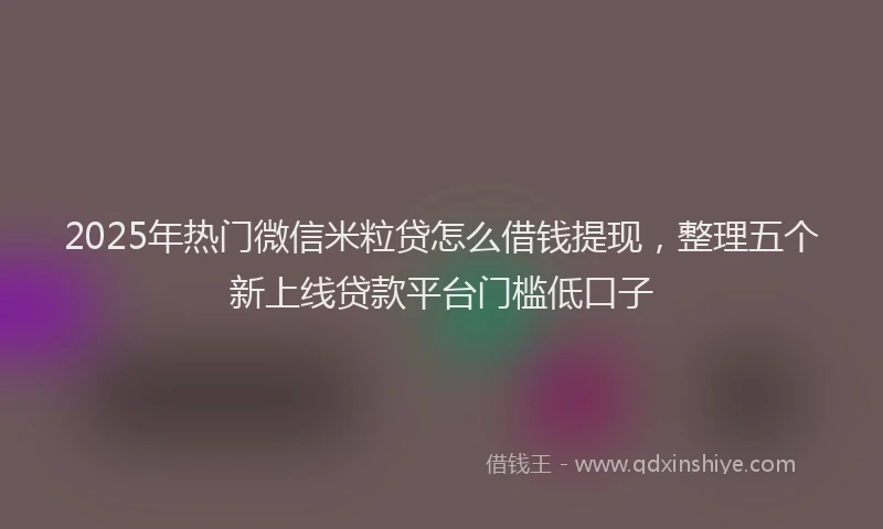 2025年热门微信米粒贷怎么借钱提现，整理五个新上线贷款平台门槛低口子