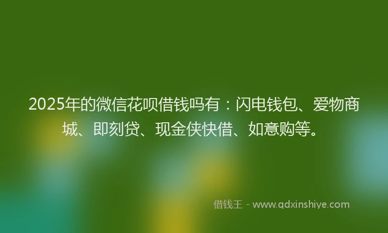 2025年的微信花呗借钱吗有：闪电钱包、爱物商城、即刻贷、现金侠快借、如意购等。