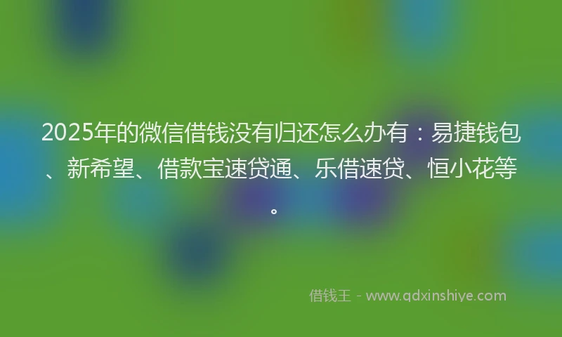 2025年的微信借钱没有归还怎么办有：易捷钱包、新希望、借款宝速贷通、乐借速贷、恒小花等。