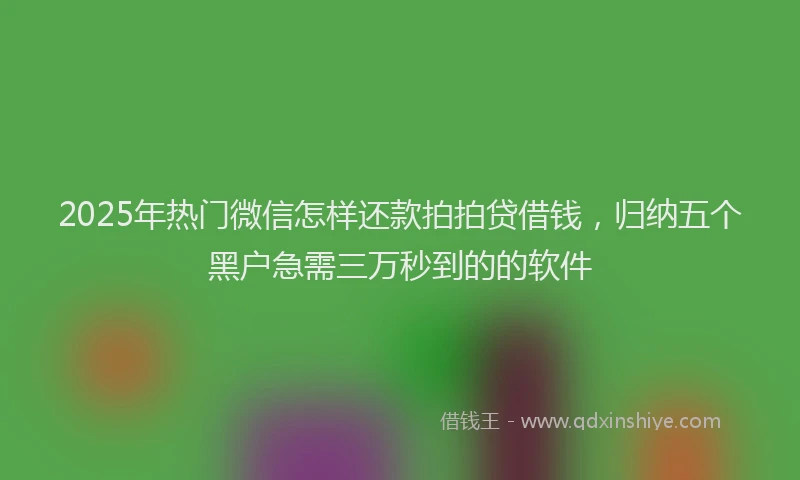 2025年热门微信怎样还款拍拍贷借钱，归纳五个黑户急需三万秒到的的软件