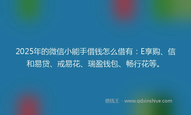 2025年的微信小能手借钱怎么借有：E享购、信和易贷、戒易花、瑞盈钱包、畅行花等。