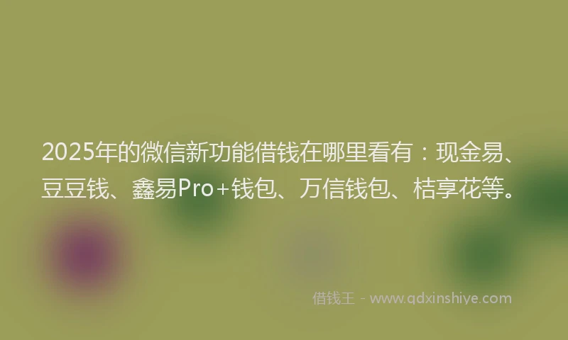 2025年的微信新功能借钱在哪里看有：现金易、豆豆钱、鑫易Pro+钱包、万信钱包、桔享花等。