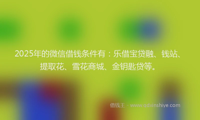 2025年的微信借钱条件有：乐借宝贷融、钱站、提取花、雪花商城、金钥匙贷等。