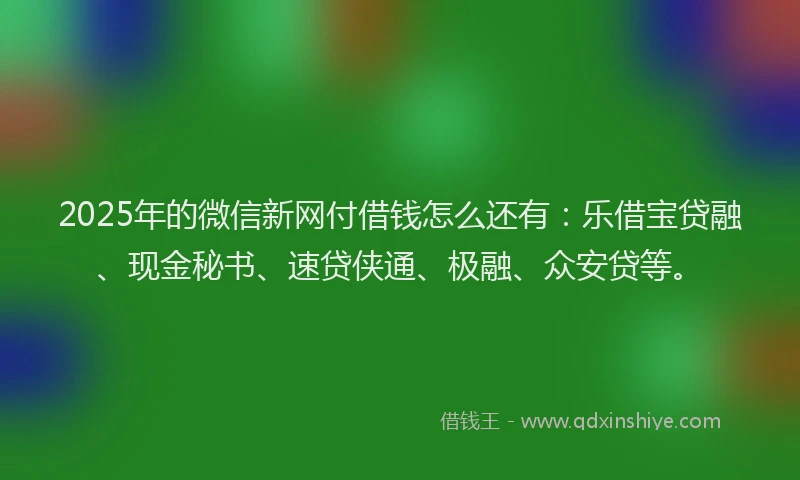 2025年的微信新网付借钱怎么还有：乐借宝贷融、现金秘书、速贷侠通、极融、众安贷等。