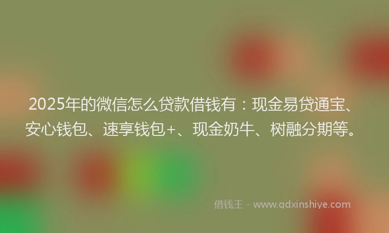 2025年的微信怎么贷款借钱有：现金易贷通宝、安心钱包、速享钱包+、现金奶牛、树融分期等。