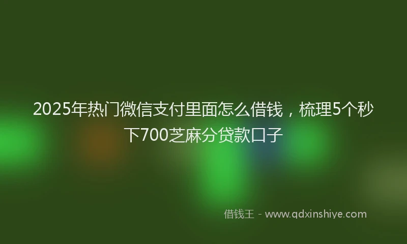 2025年热门微信支付里面怎么借钱，梳理5个秒下700芝麻分贷款口子