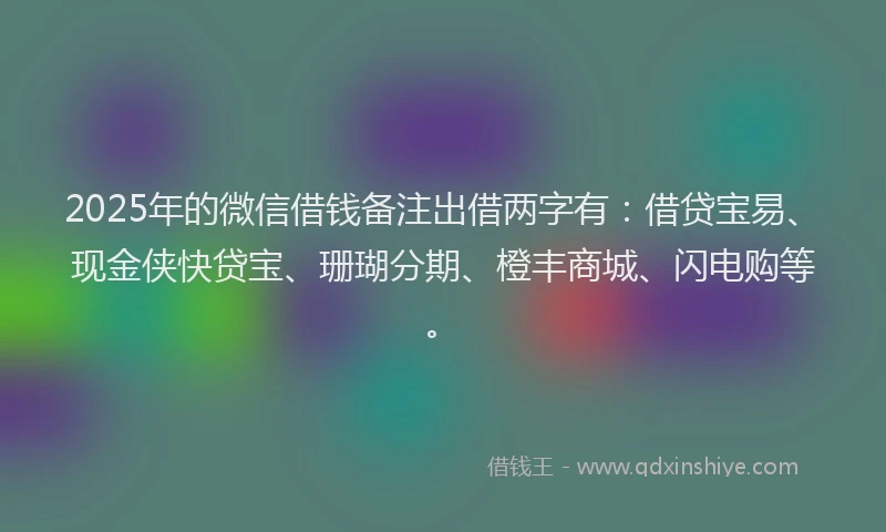 2025年的微信借钱备注出借两字有：借贷宝易、现金侠快贷宝、珊瑚分期、橙丰商城、闪电购等。