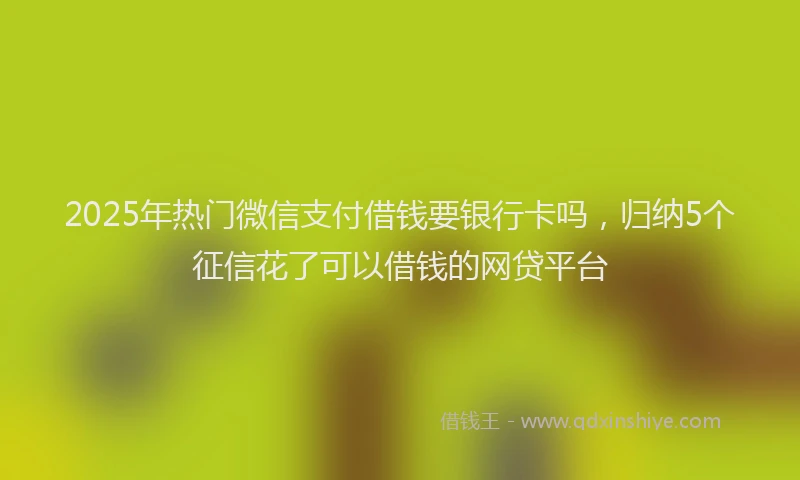2025年热门微信支付借钱要银行卡吗，归纳5个征信花了可以借钱的网贷平台