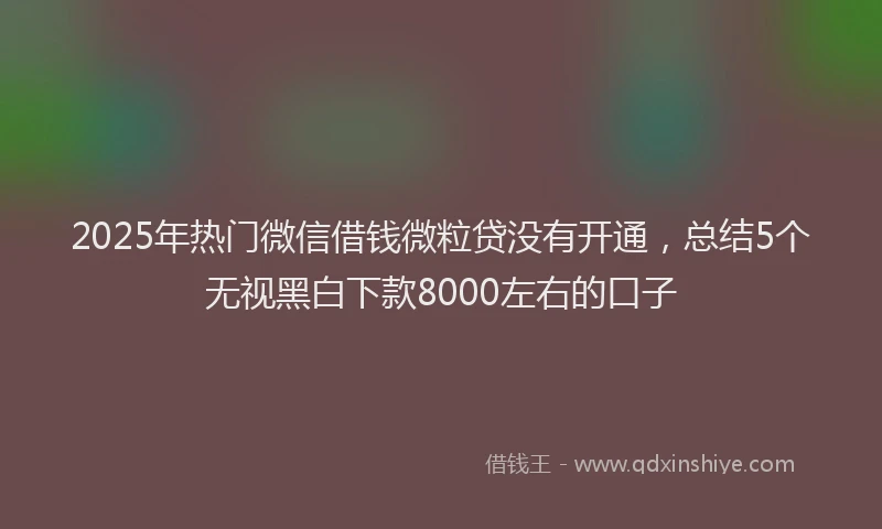 2025年热门微信借钱微粒贷没有开通，总结5个无视黑白下款8000左右的口子