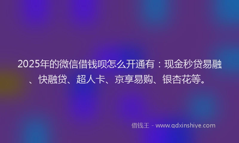 2025年的微信借钱呗怎么开通有：现金秒贷易融、快融贷、超人卡、京享易购、银杏花等。