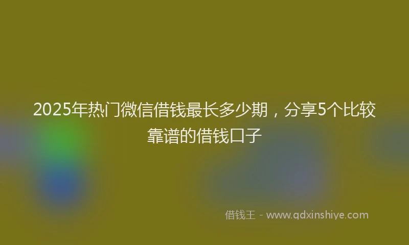 2025年热门微信借钱最长多少期，分享5个比较靠谱的借钱口子
