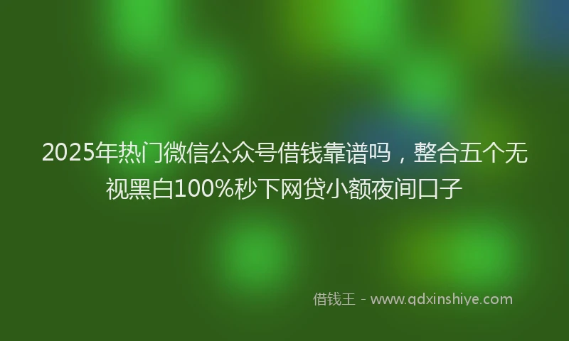 2025年热门微信公众号借钱靠谱吗，整合五个无视黑白100%秒下网贷小额夜间口子