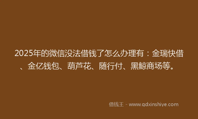 2025年的微信没法借钱了怎么办理有：金瑞快借、金亿钱包、葫芦花、随行付、黑鲸商场等。