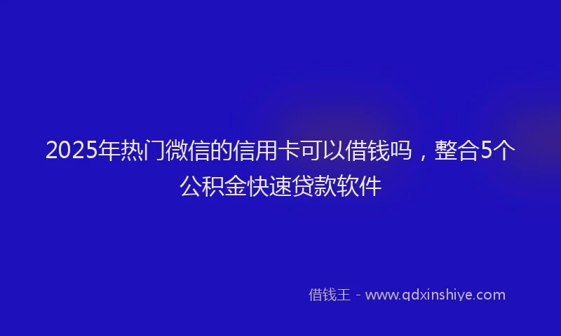 2025年热门微信的信用卡可以借钱吗，整合5个公积金快速贷款软件