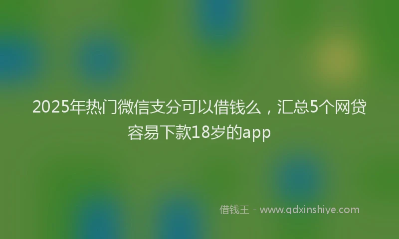 2025年热门微信支分可以借钱么，汇总5个网贷容易下款18岁的app