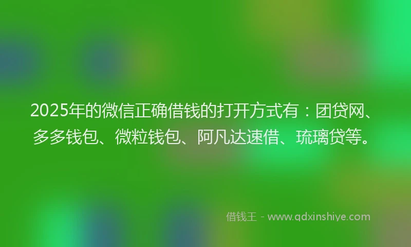 2025年的微信正确借钱的打开方式有：团贷网、多多钱包、微粒钱包、阿凡达速借、琉璃贷等。