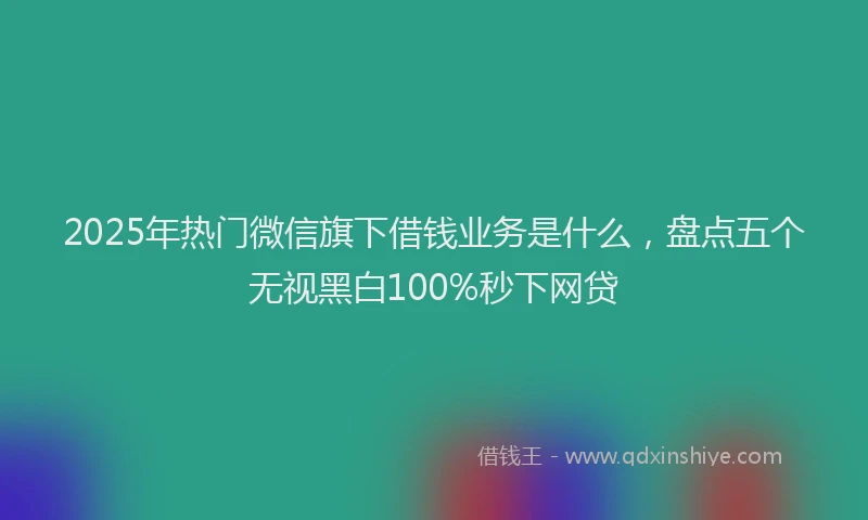 2025年热门微信旗下借钱业务是什么，盘点五个无视黑白100%秒下网贷
