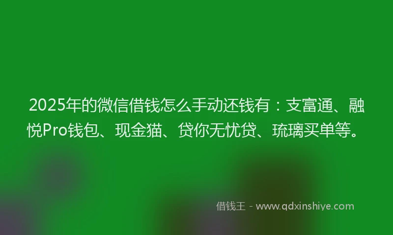2025年的微信借钱怎么手动还钱有：支富通、融悦Pro钱包、现金猫、贷你无忧贷、琉璃买单等。