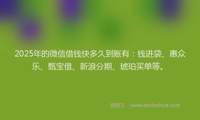 2025年的微信借钱快多久到账有：钱进袋、惠众乐、甄宝借、新浪分期、琥珀买单等。