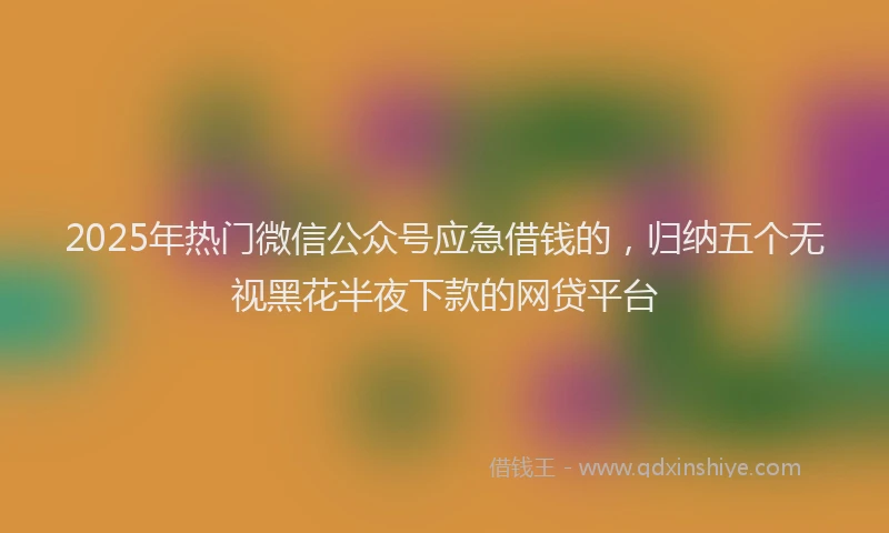 2025年热门微信公众号应急借钱的，归纳五个无视黑花半夜下款的网贷平台