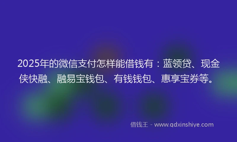 2025年的微信支付怎样能借钱有：蓝领贷、现金侠快融、融易宝钱包、有钱钱包、惠享宝券等。