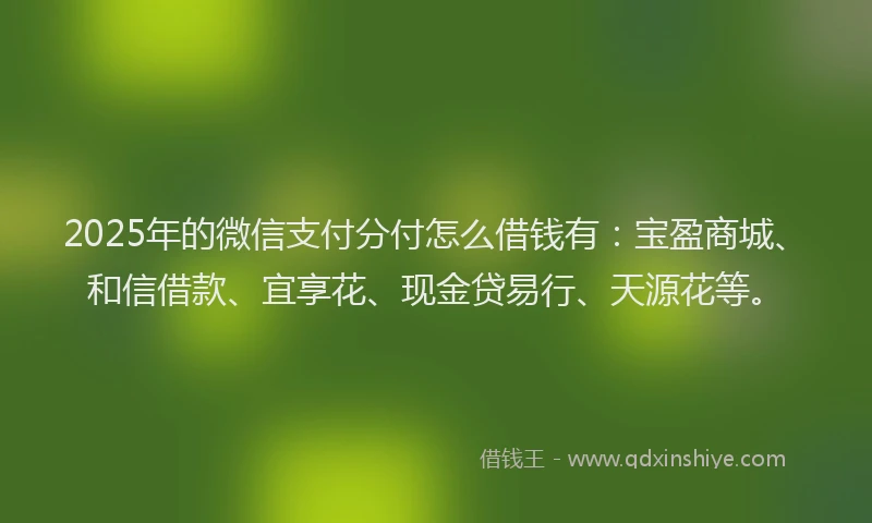 2025年的微信支付分付怎么借钱有：宝盈商城、和信借款、宜享花、现金贷易行、天源花等。