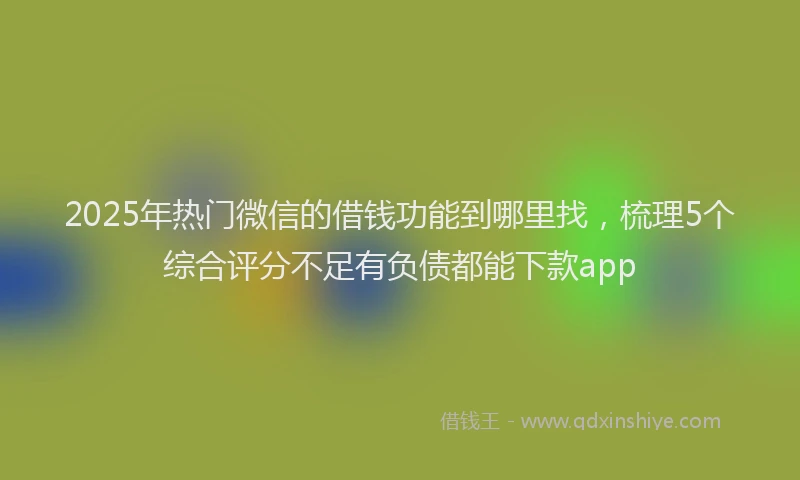 2025年热门微信的借钱功能到哪里找，梳理5个综合评分不足有负债都能下款app