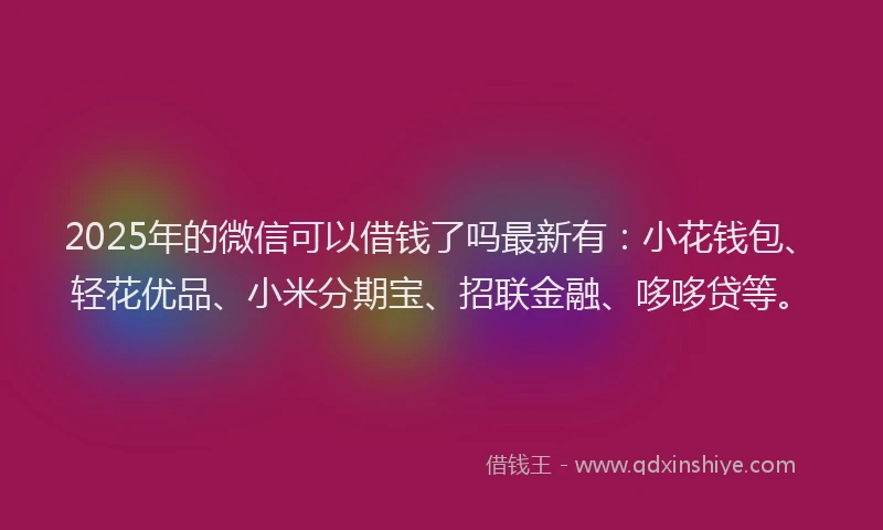 2025年的微信可以借钱了吗最新有：小花钱包、轻花优品、小米分期宝、招联金融、哆哆贷等。