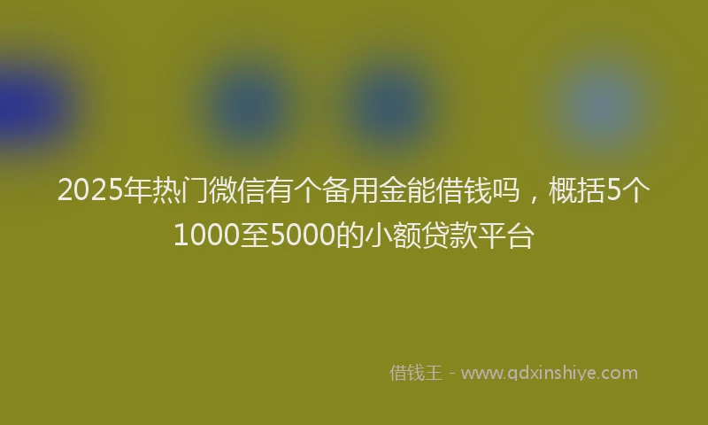 2025年热门微信有个备用金能借钱吗，概括5个1000至5000的小额贷款平台